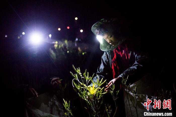 忘忧草一区一区三_忘忧草一区一区三_忘忧草一区一区三