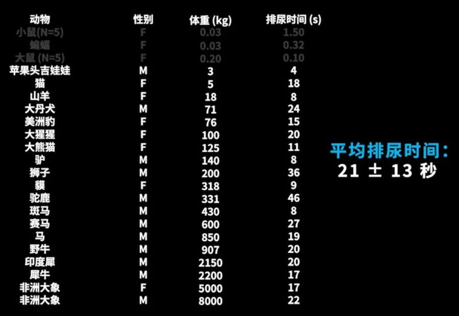 六年级尿尿的地方_六年级尿尿的地方_六年级尿尿的地方