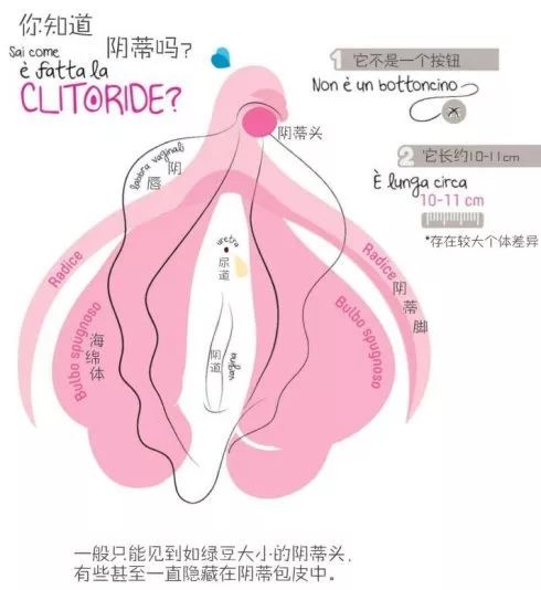 六年级尿尿的地方_六年级尿尿的地方_六年级尿尿的地方