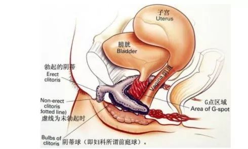 六年级尿尿的地方_六年级尿尿的地方_六年级尿尿的地方