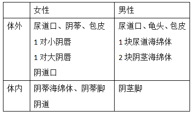 六年级尿尿的地方_六年级尿尿的地方_六年级尿尿的地方