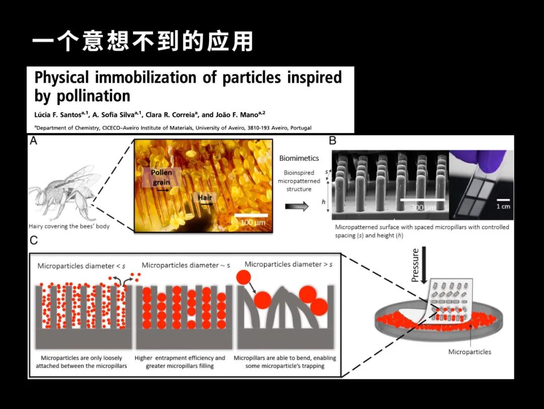 六年级尿尿的地方_六年级尿尿的地方_六年级尿尿的地方