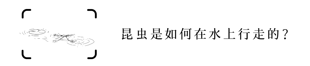 六年级尿尿的地方_六年级尿尿的地方_六年级尿尿的地方