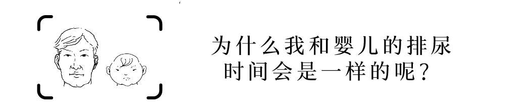 六年级尿尿的地方_六年级尿尿的地方_六年级尿尿的地方