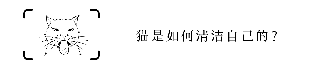 六年级尿尿的地方_六年级尿尿的地方_六年级尿尿的地方