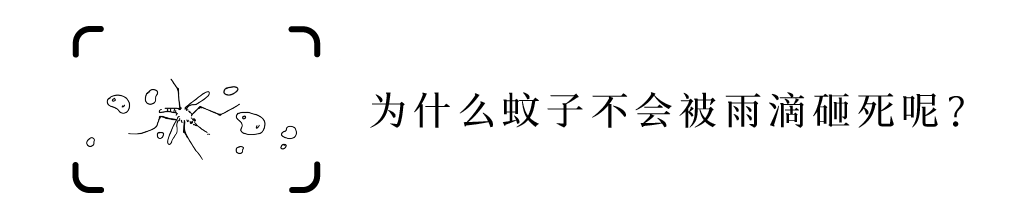 六年级尿尿的地方_六年级尿尿的地方_六年级尿尿的地方