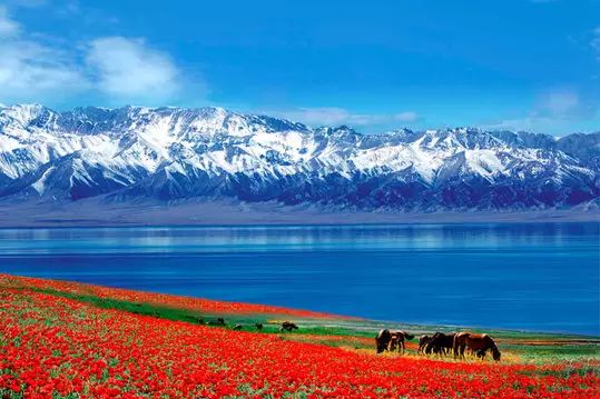 海滩女生背影头像_两个女人在有风景的海滩高清_海滩女生背影图片