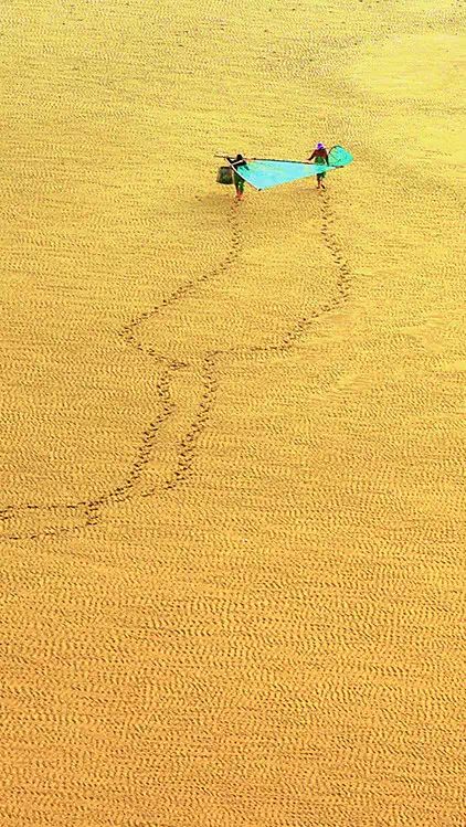 海滩女生背影头像_两个女人在有风景的海滩高清_海滩女生背影图片