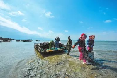 两个女人在有风景的海滩高清_海滩女生背影头像_海滩女生背影图片