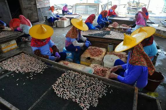 两个女人在有风景的海滩高清_海滩女生背影头像_海滩女生背影图片