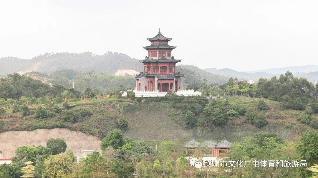 含羞草传媒干嘛的_含羞草传媒_含羞草传媒室