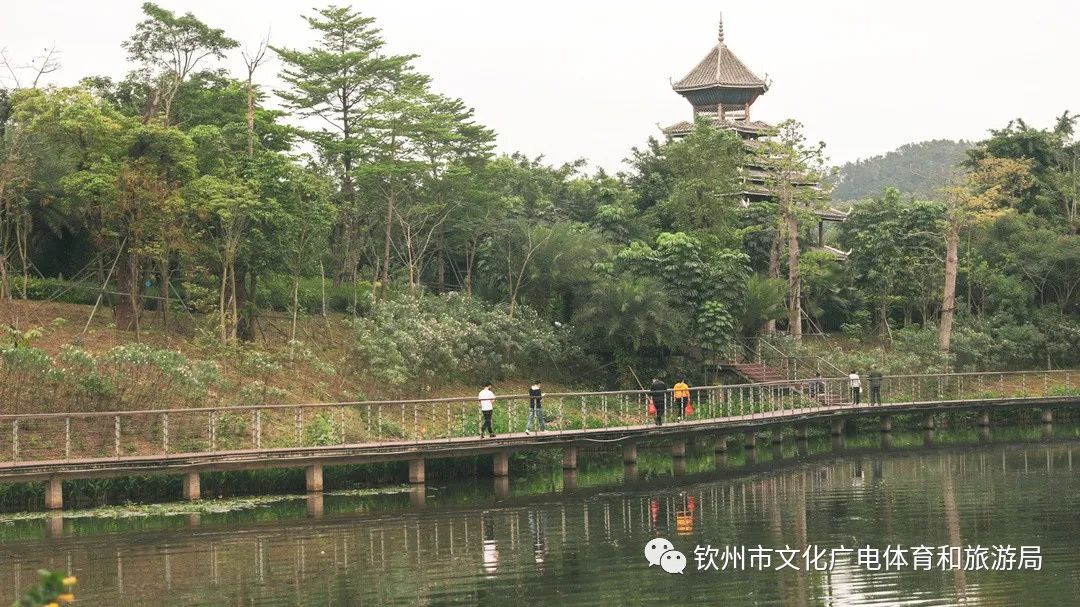 含羞草传媒干嘛的_含羞草传媒室_含羞草传媒