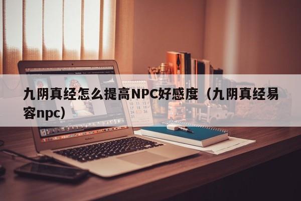 九阴真经怎么提高NPC好感度（九阴真经易容npc）  第1张