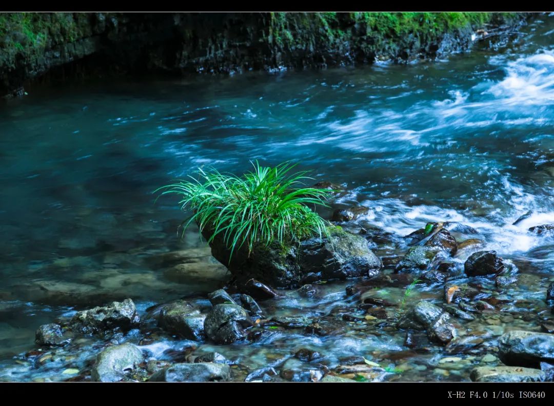 免费体验视频3体验区_小草视屏2019_小草体验区120秒体验