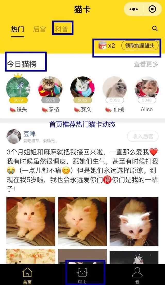 新版猫咪官网点击进入_猫咪新版进不去_新版猫咪进入官网点击不进去