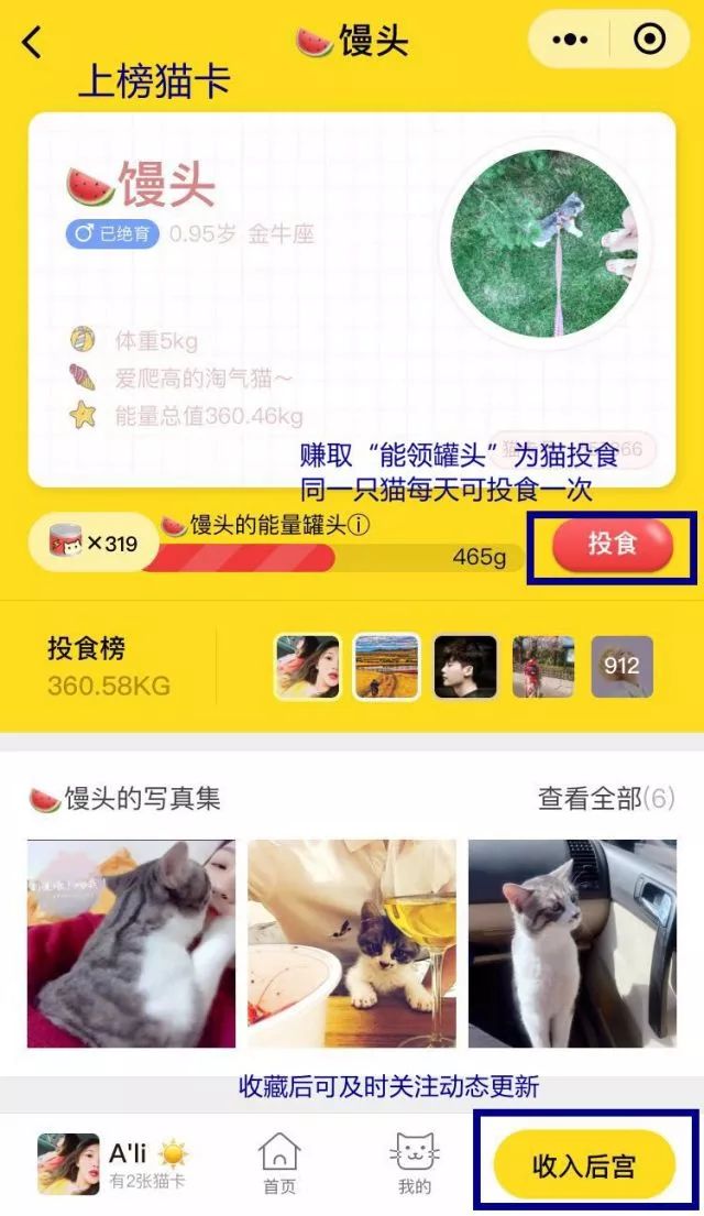 新版猫咪官网点击进入_新版猫咪进入官网点击不进去_猫咪新版进不去