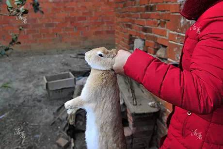 堵好了一点尿都不能流出来_尿堵住了怎么办_尿堵着尿不出来怎么办